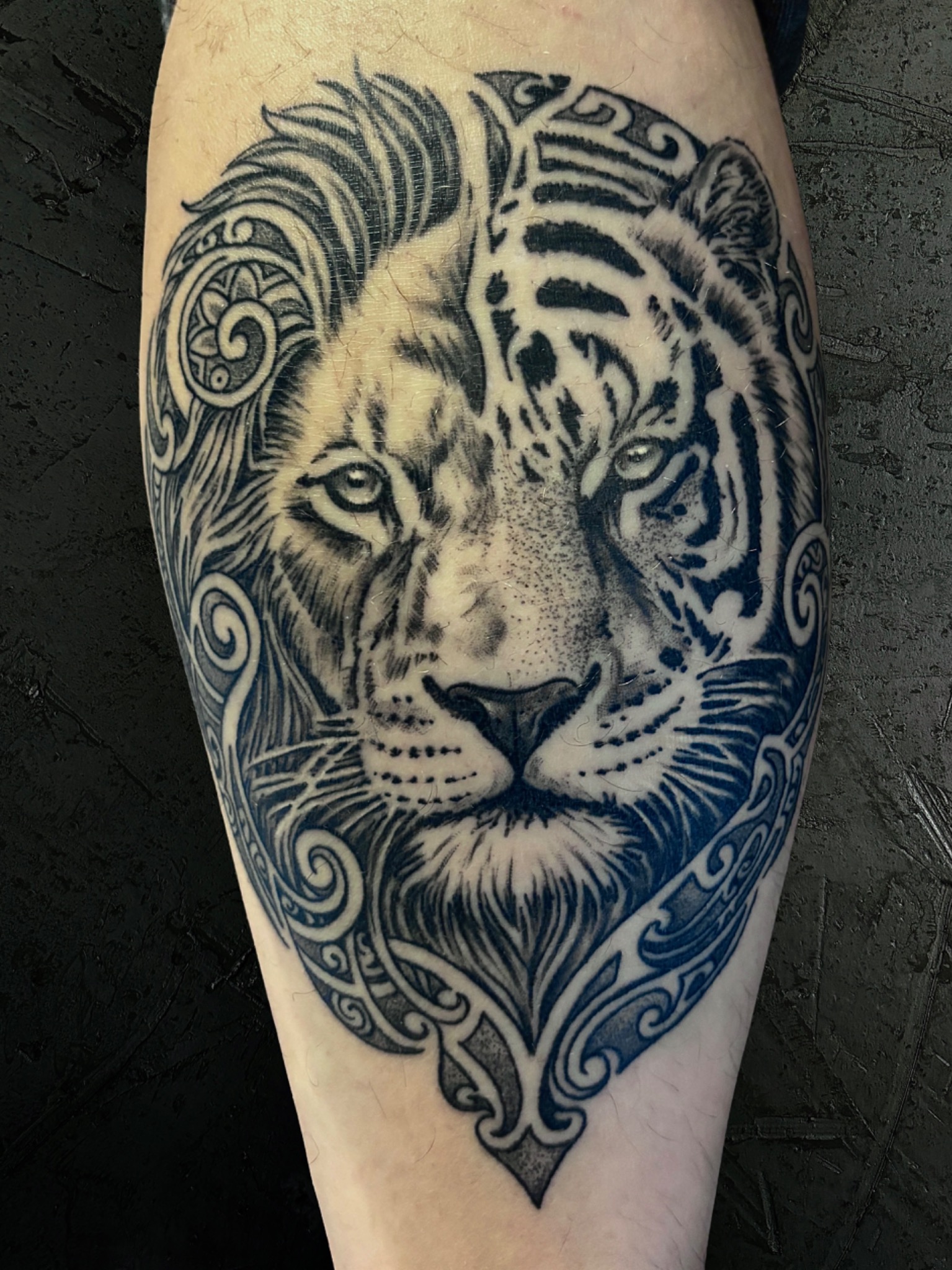 Kombiniertes Löwen- und Tigerporträt mit ornamentaler Einfassung als Black-and-Grey-Tattoo